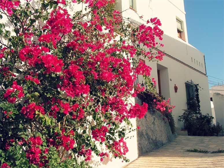 Jardines Del Mar Salobrena Lejlighed Eksteriør billede